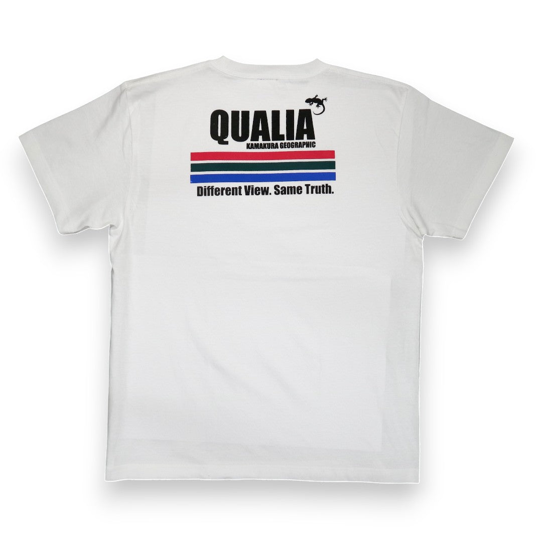 Qualia