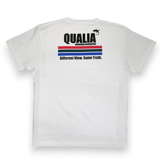 Qualia